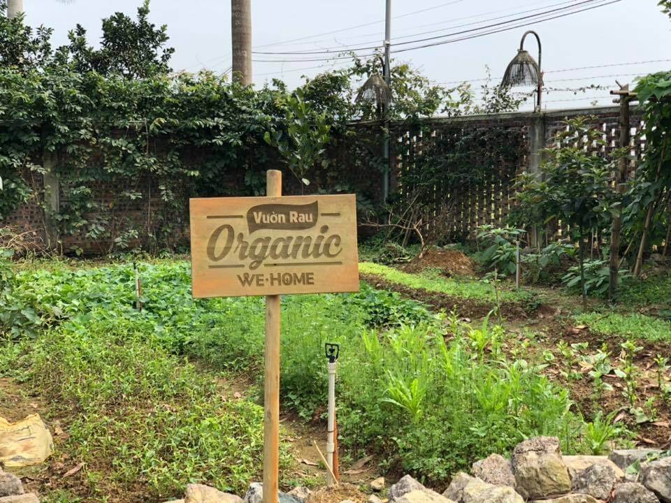 Vườn rau Organic