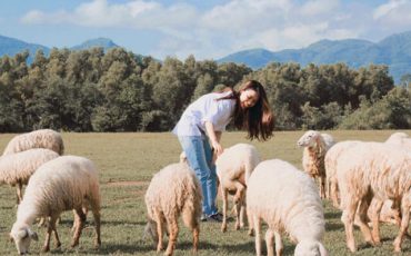 Vi vu Đồi Cừu Suối Nghệ điểm sống ảo mới cực đẹp tựa Châu Âu