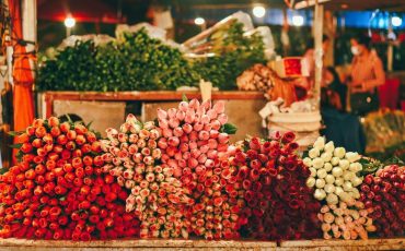 Chợ hoa Quảng Bá – Thiên đường hoa rực rỡ về đêm tại Hà Nội