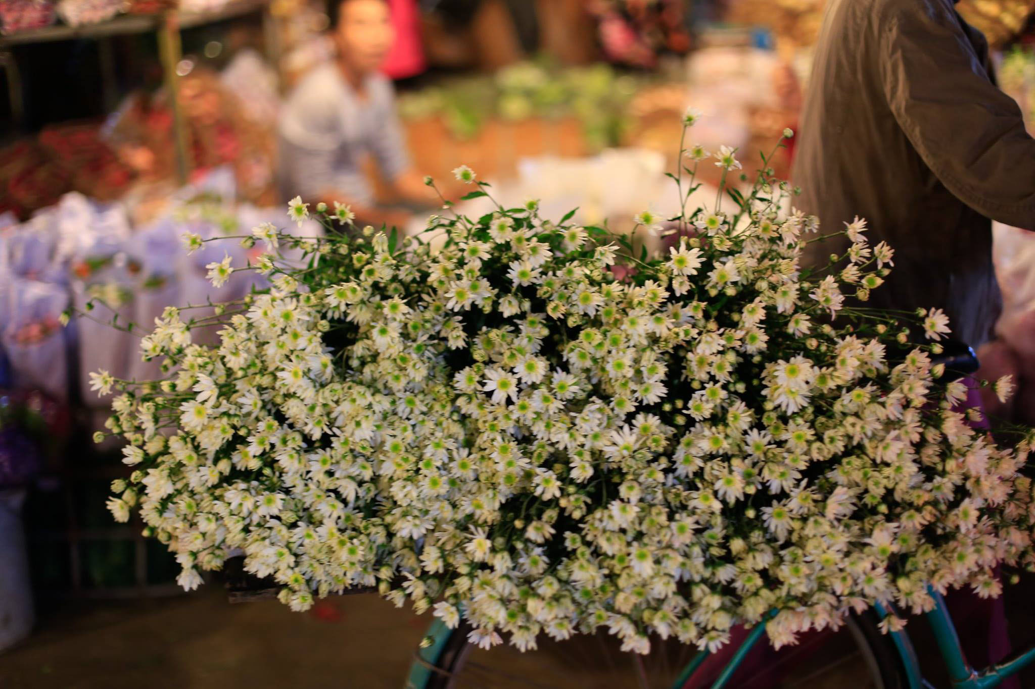 Chở hoa đi bán tại chợ hoa