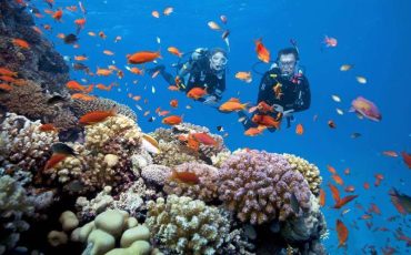 Kinh nghiệm lặn ngắn san hô Côn Đảo cho mùa hè tuyệt vời