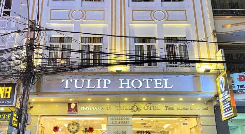 Tulip Hotel - Khách sạn gần chợ Đà Lạt