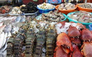Top 5+ vựa hải sản Phú Quốc tươi ngon giá rẻ không thể bỏ qua