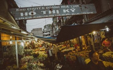 Khám phá chợ hoa Hồ Thị Kỷ và những hoạt động nên trải nghiệm