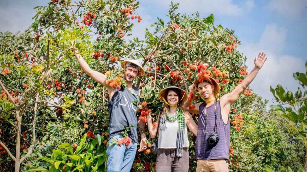 Vườn trái cây Tám Lộc - vườn trái cây Bến Tre