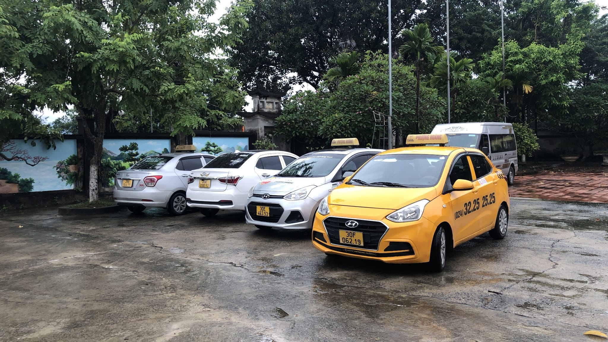 Taxi Phượng Hoàng